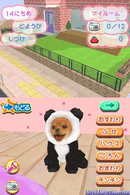 Image n° 3 - screenshots : Kawaii Koinu DS 3